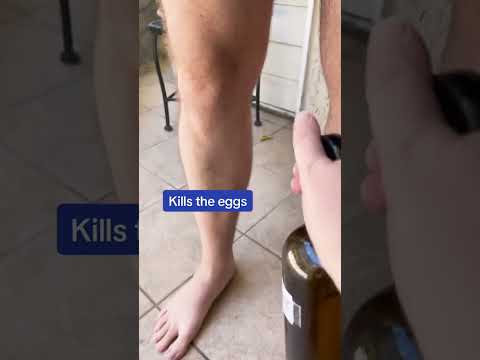 Best Natural mosquito repellants and one you should avoid